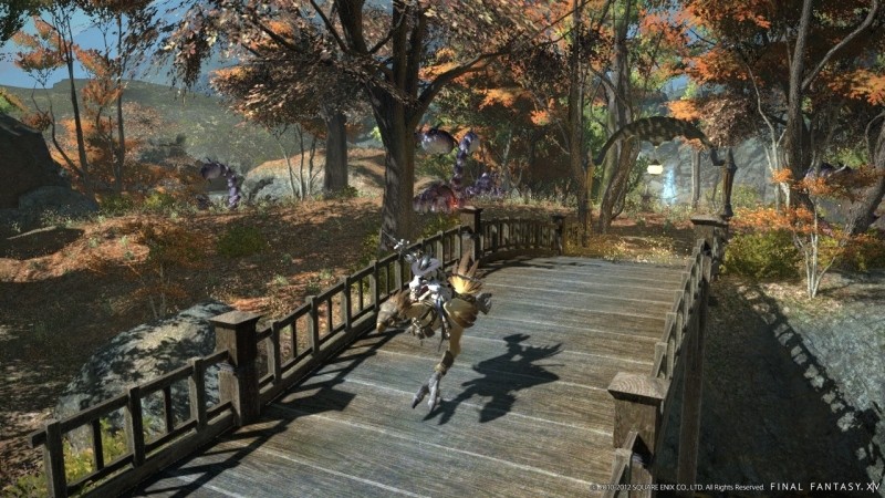 Final Fantasy XIV: A Realm Reborn (Edición Coleccionista) - Imagen 41
